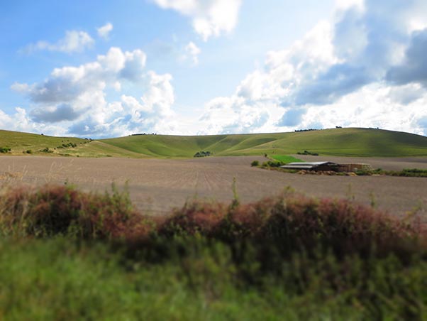 The launchpad ... Milk Hill.
