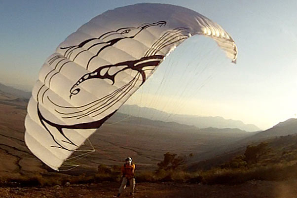 Adrenaline Fastbat miniwing