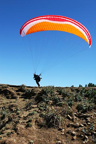 Three new wings from Aerodyne
