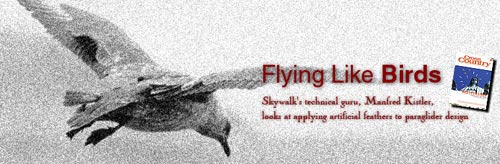 flying-like-birds-header.jpg