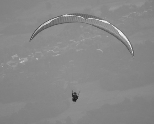Ozone's new EnZo, an EN D comp paraglider. Photo: Ozone