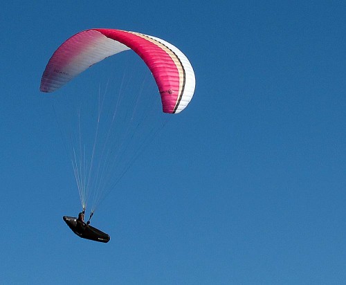 Icaro's new EN B paraglider, the Wildcat TE
