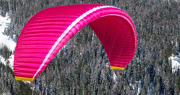 Nova celebrates 25 years in the pink