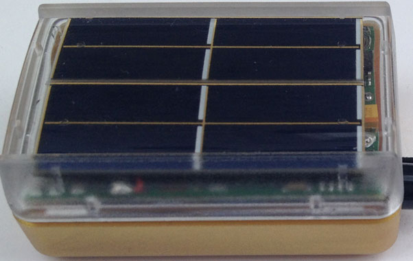 Renschler's special 20th anniversary golden Solario
