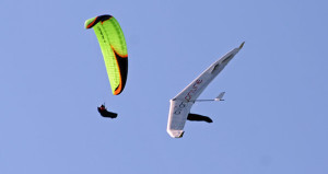 Luke Nicol, hang glider pilot