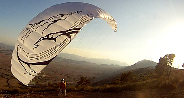 Adrenaline Fastbat miniwing