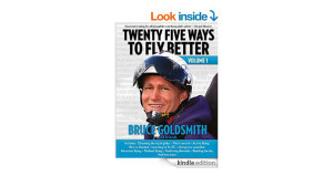 25 Ways to Fly Better by Bruce Goldsmith