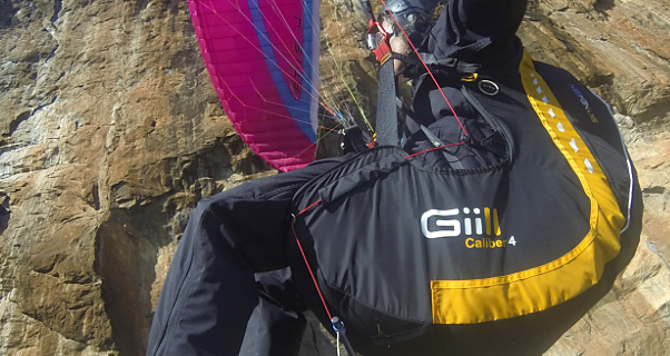 Sky Gii2 Alpha harness