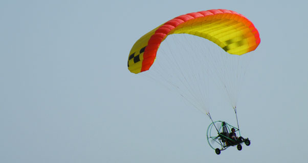 Apco Cruiser PPC wing