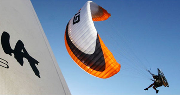 Paramania banner