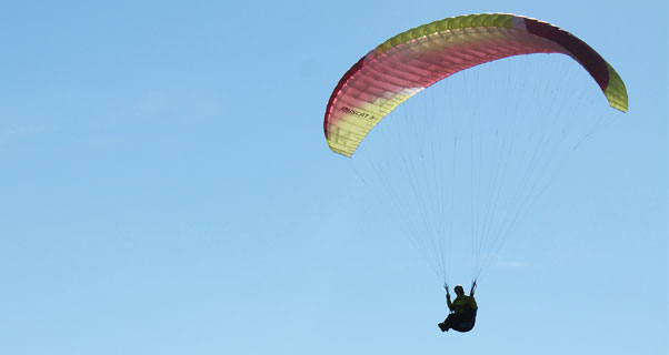 Sky Country Muscat 3