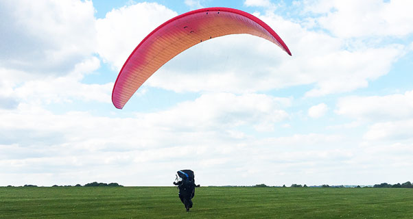 Ozone Zeno