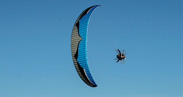 Ozone Viper 4