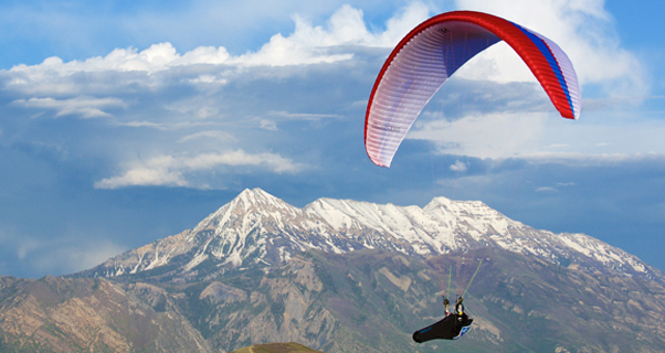 Ozone LM6