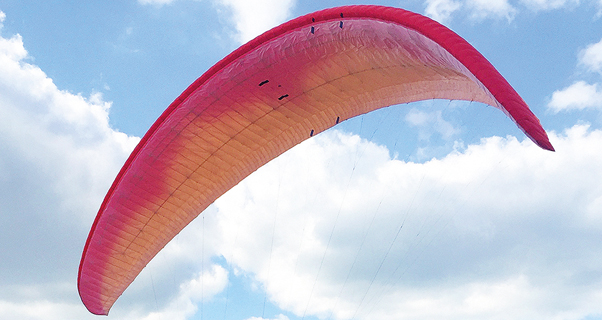 Ozone Zeno