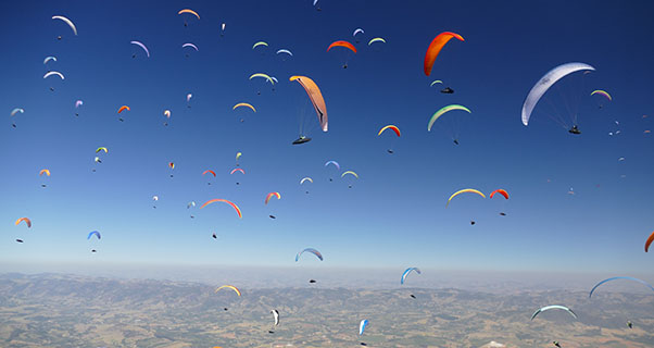 PWC-Pico-Do-Gaviao