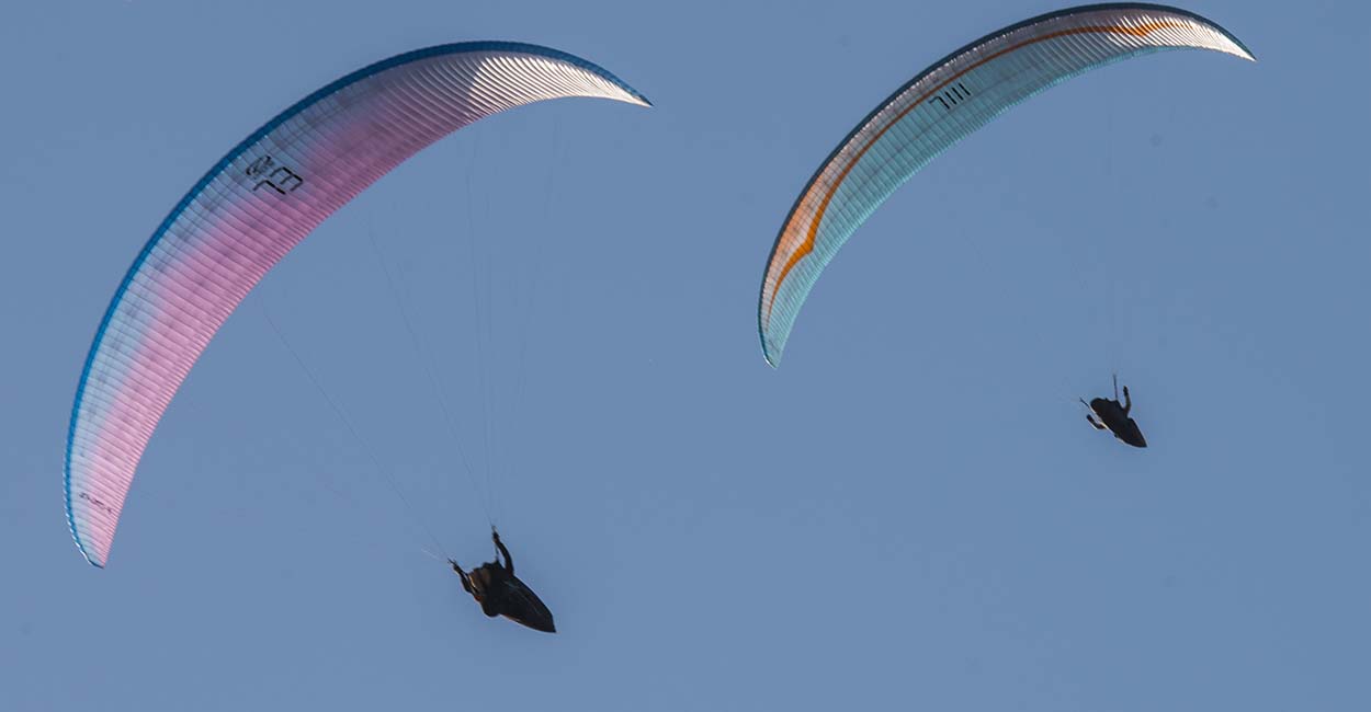 Competition paragliders. Photo: Nicole Holmes