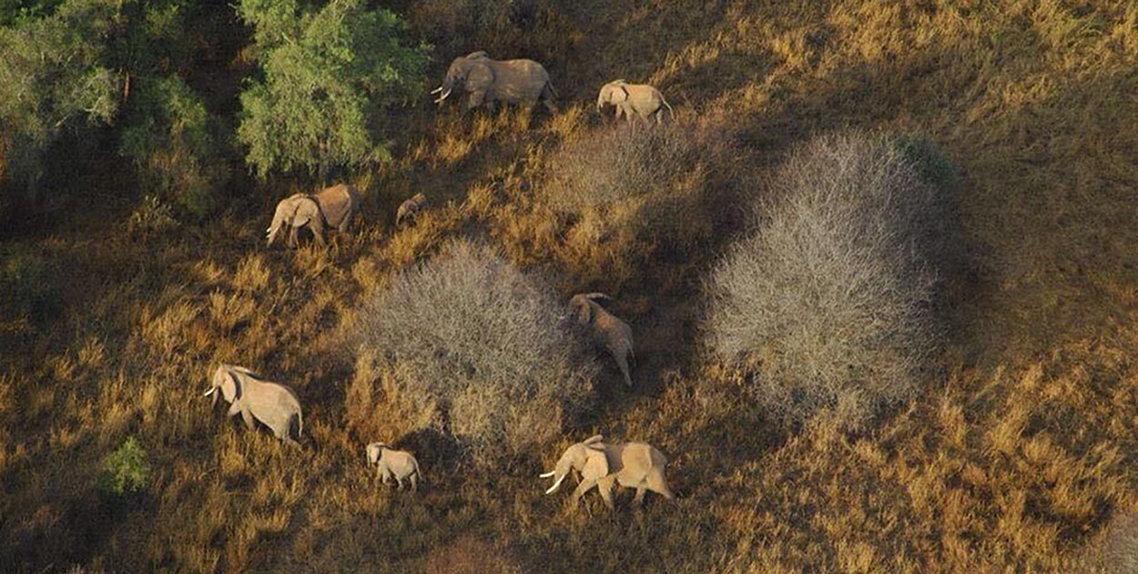 Icarus Trophy 2018, Africa @ Hartbeespoort | North West | South Africa