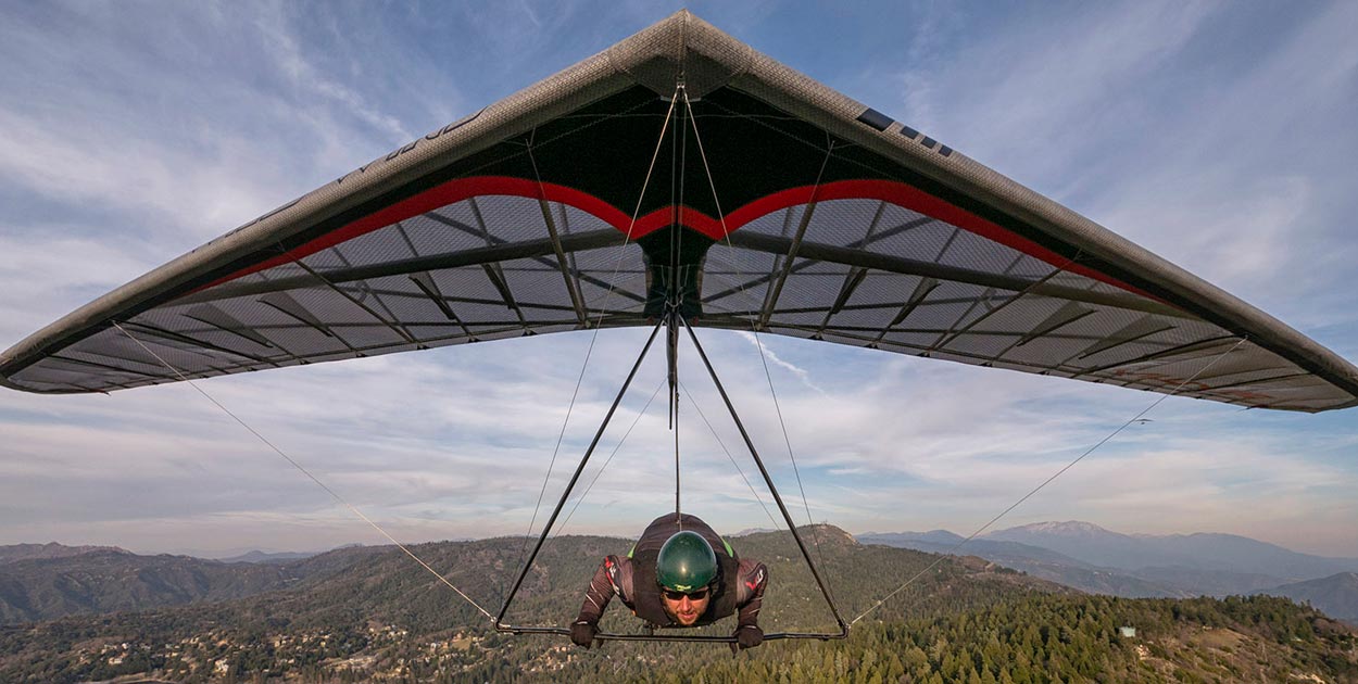 Wills Wing T3