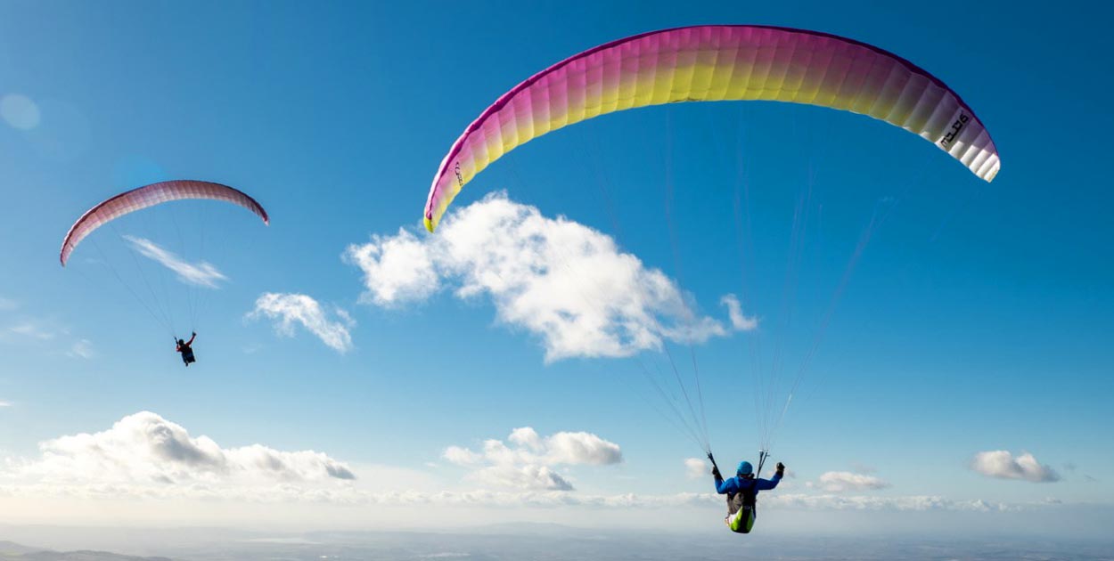 Ozone Mojo 6