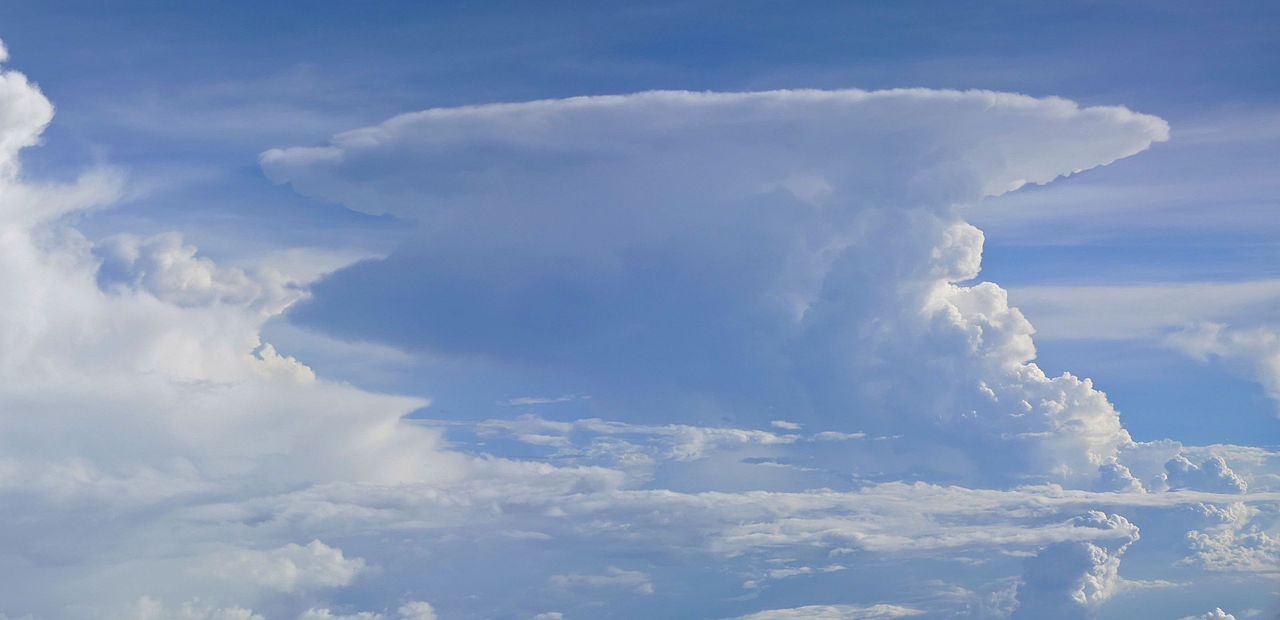 Cumunolimbus cloud
