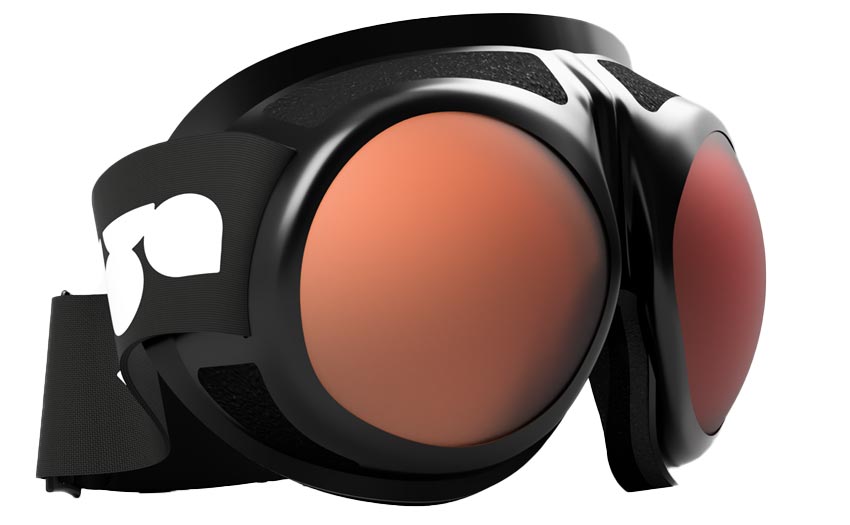 Fluga goggles