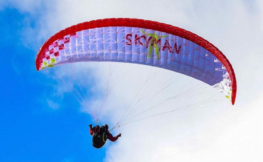 Skyman Shark