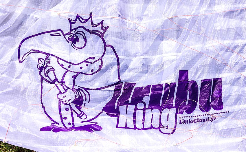 Little Cloud Urubu King logo