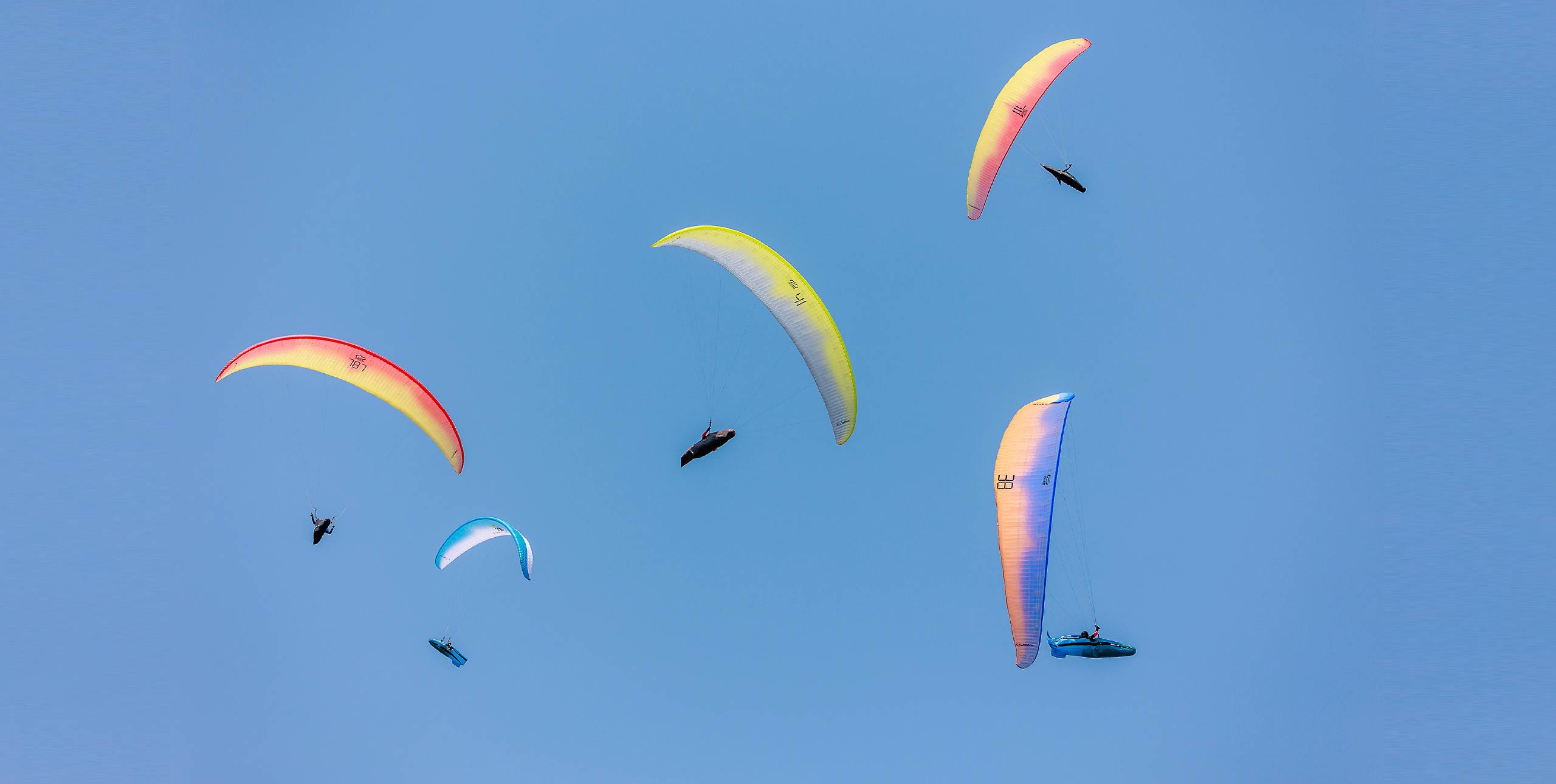 Paragliding competition harnesses