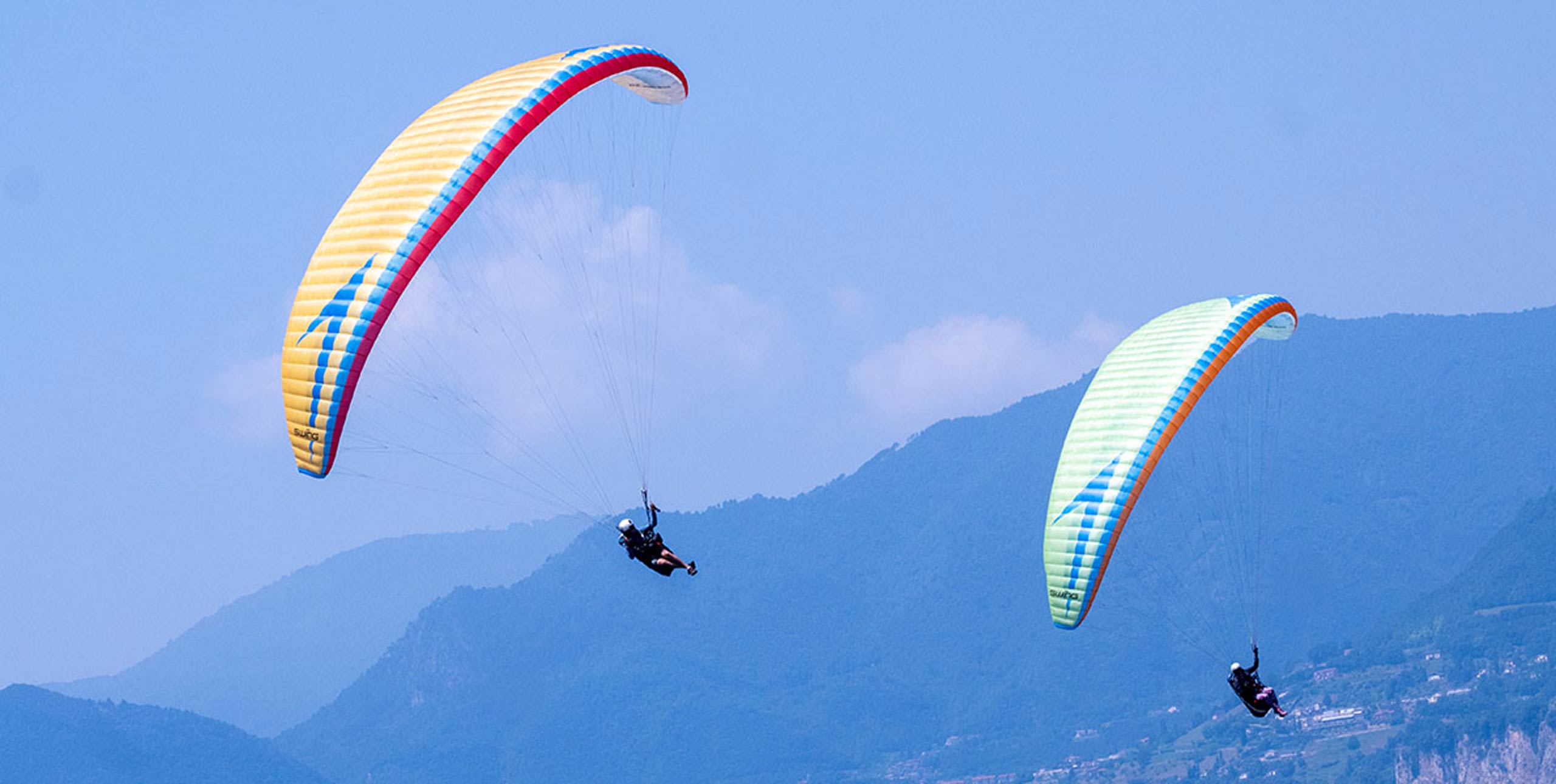 Swing Miura RS D-Lite
