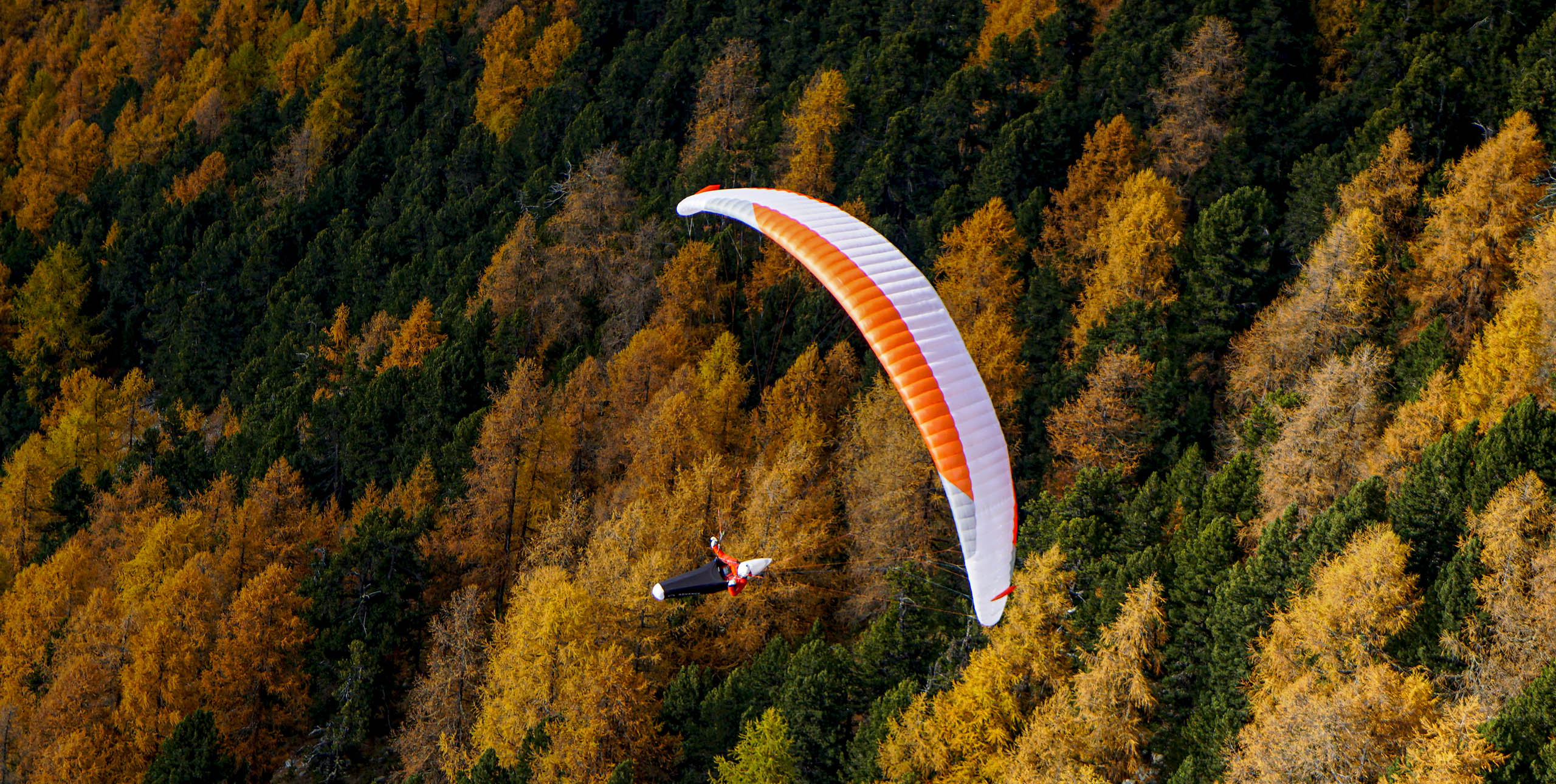 Paragliding above the forest in autumn. Photo: Tobi Dimmler