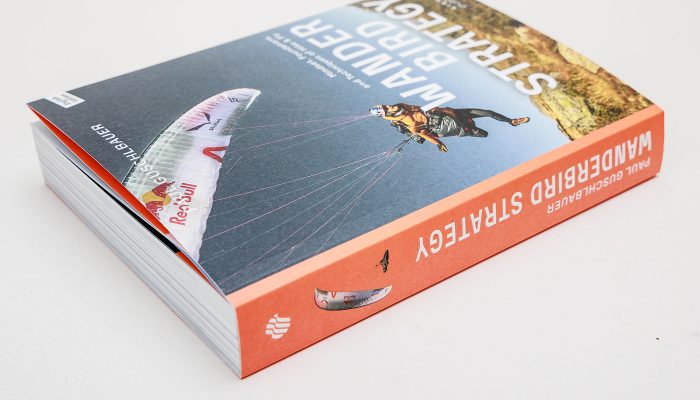 Wanderbird Strategy by Paul Guschlbauer