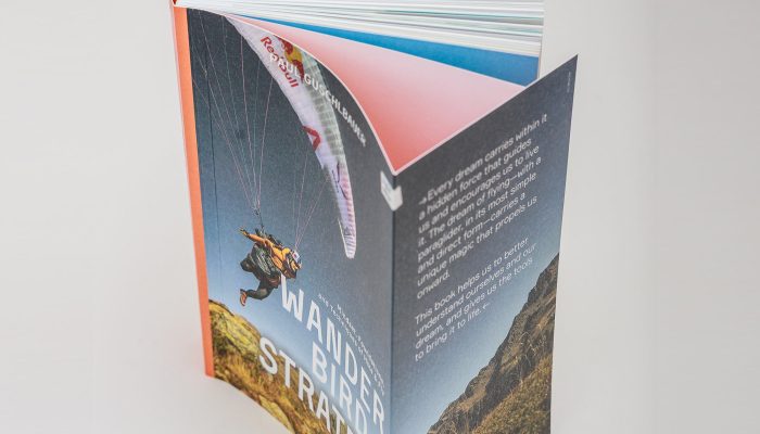 Wanderbird Strategy by Paul Guschlbauer