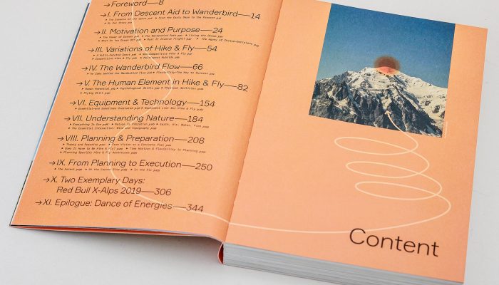 Wanderbird Strategy by Paul Guschlbauer