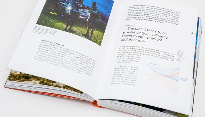 Wanderbird Strategy by Paul Guschlbauer