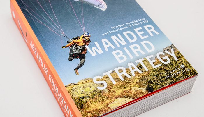 Wanderbird Strategy by Paul Guschlbauer