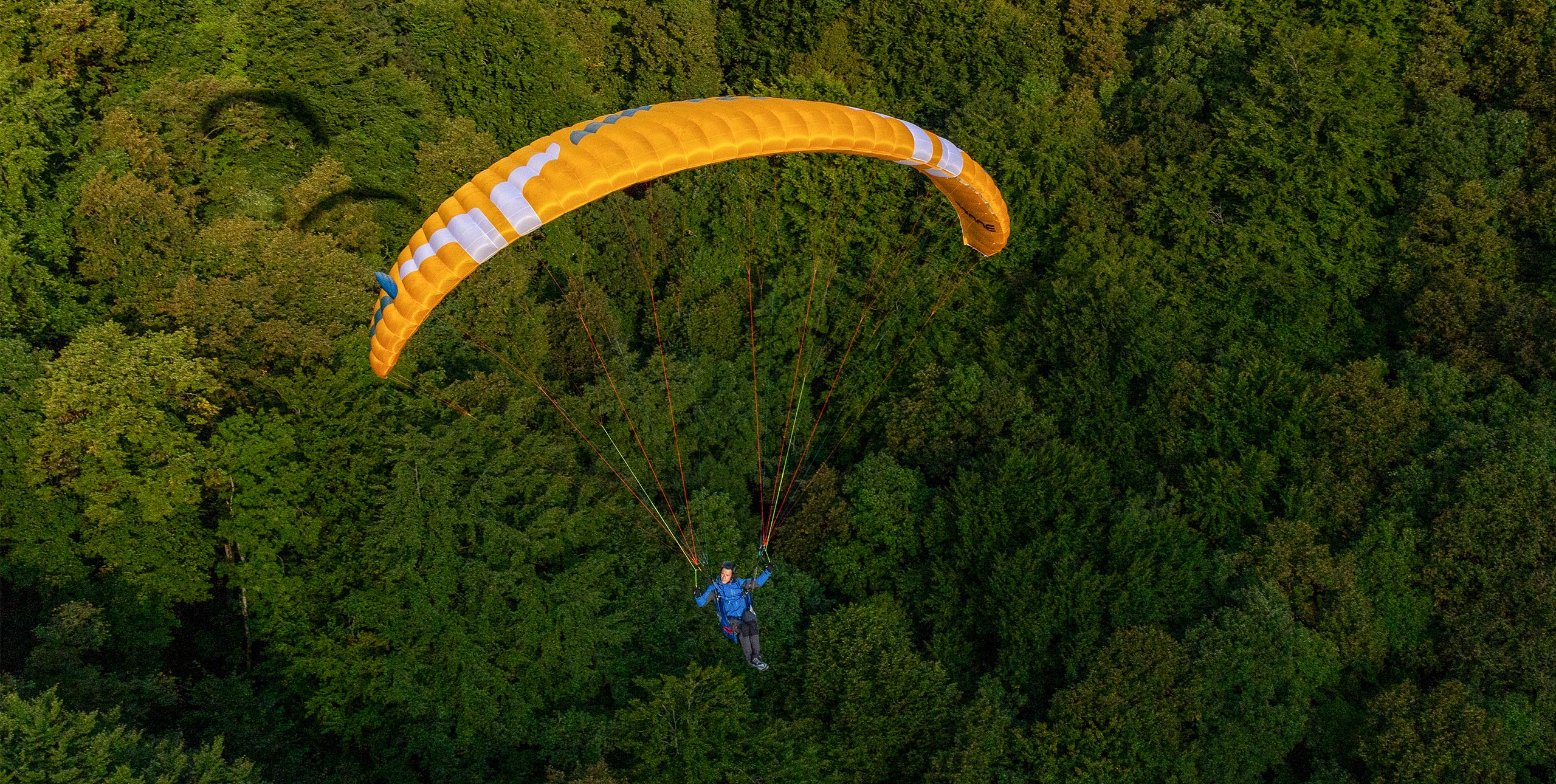 Ozone Alta GT