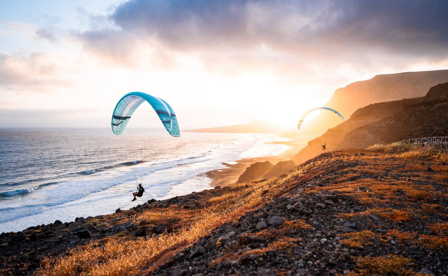 Flare Bandit Parakite. Photo: Tristan Shu