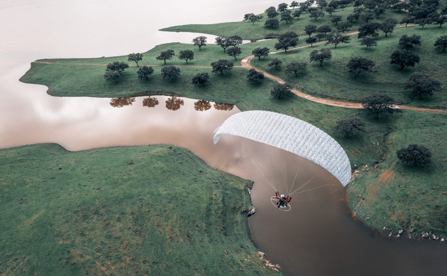 Elevate paramotor wing