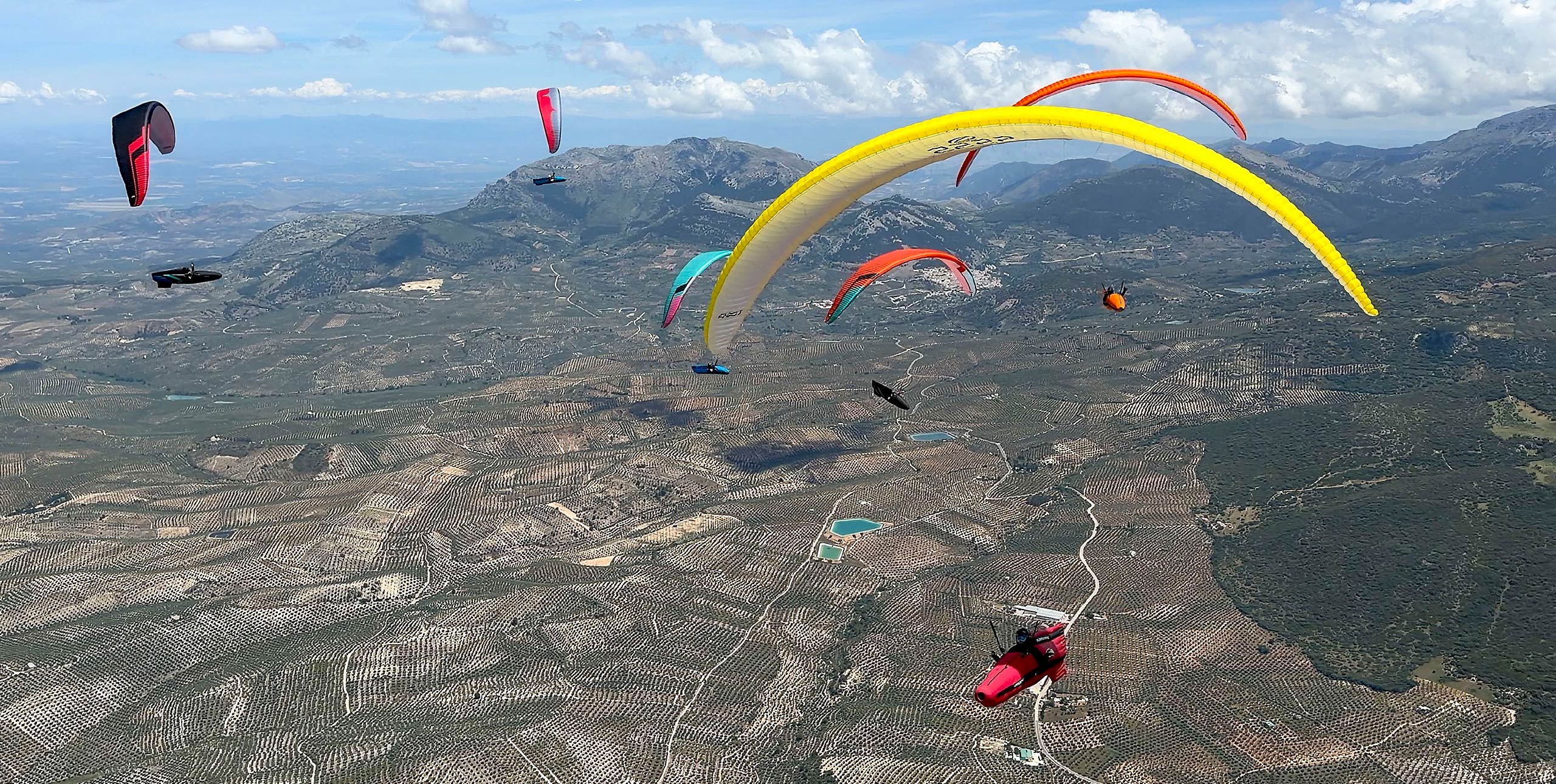 Flying over olive groves in the PWC Superfinal