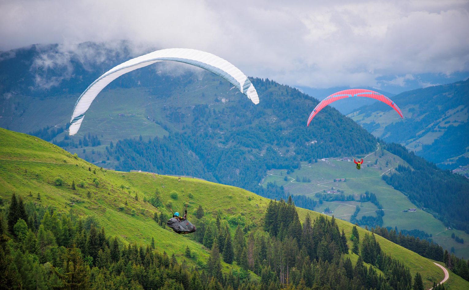 Wanderbird Kitzbuhel 2025