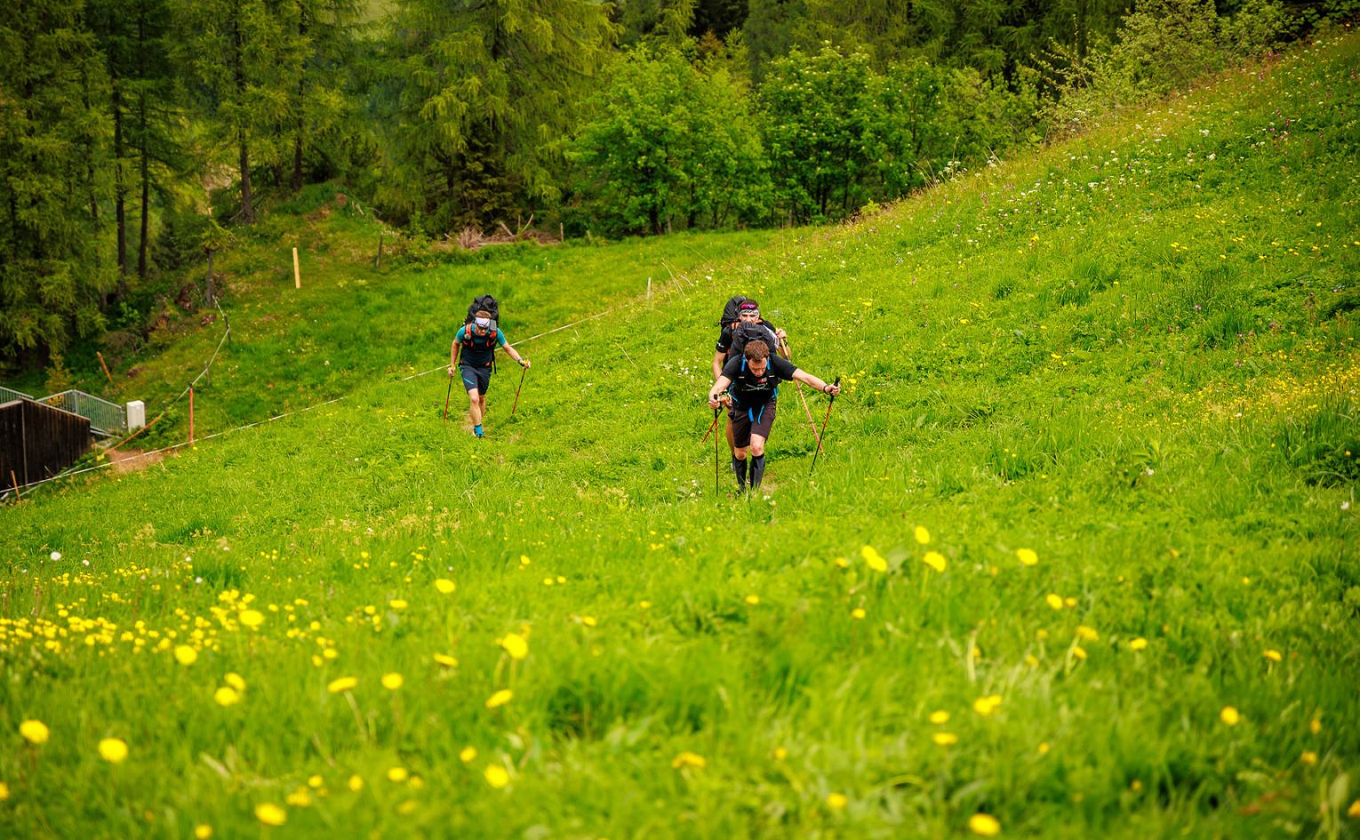 Wanderbird Kitzbuhel 2025