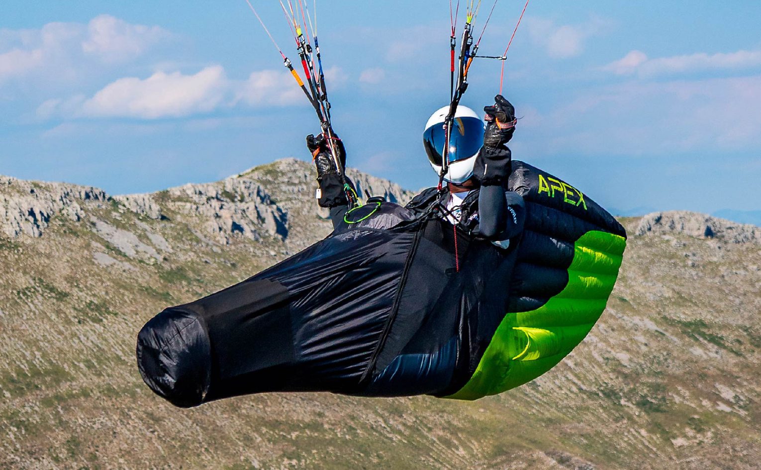 Nearbirds Apex